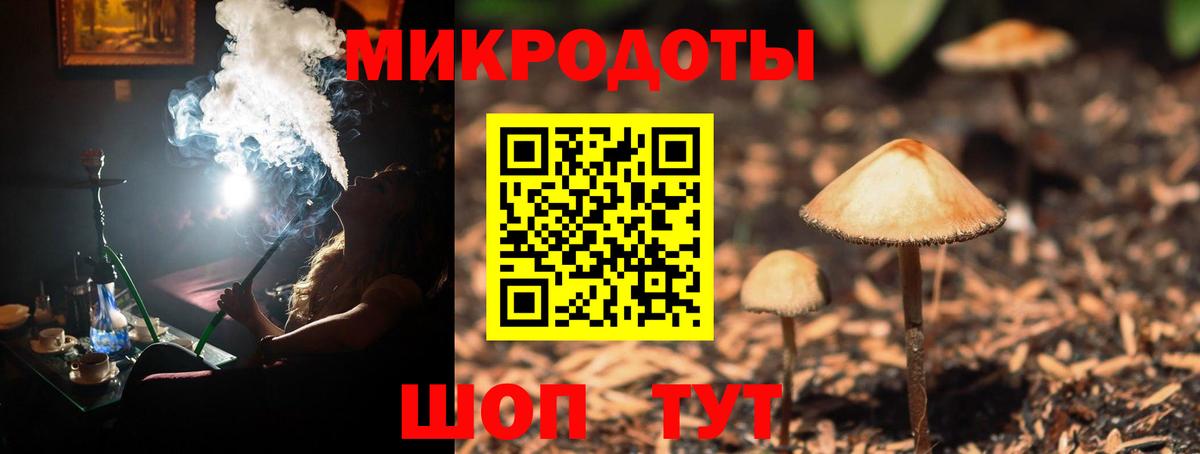 Галлюциногенные грибы мухоморы  Псилоцибиновые грибы Psilocybine cubensis  Майкоп  Вход с VPN 